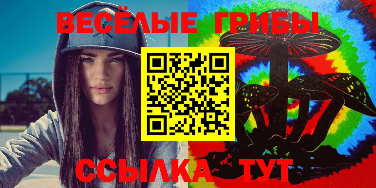 Пугачёв  Галлюциногенные грибы GOLDEN TEACHER  Вход с VPN 