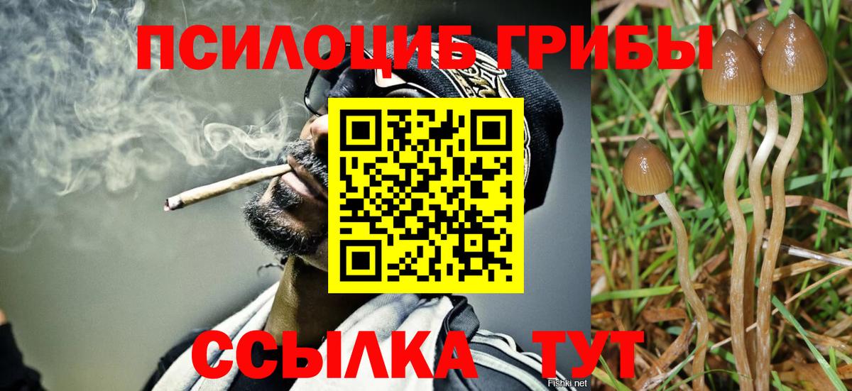 Галлюциногенные грибы ЛСД Пугачёв